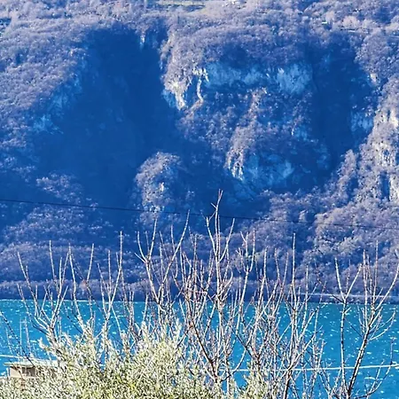 L'ulivo View Private Road 5 Kilometers From Varenna Апартаменты