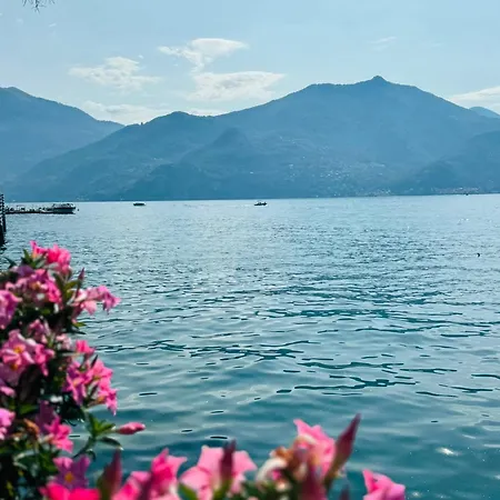 L'ulivo View Private Road 5 Kilometers From Varenna Lierna